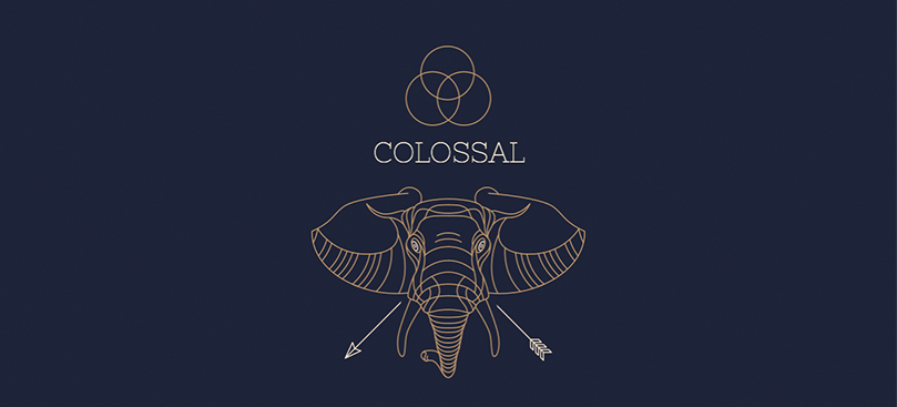 Colossal: A Series on the Fullness of Life