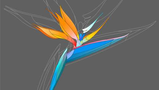 Embodied Faith